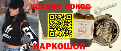 гашик Кингисепп