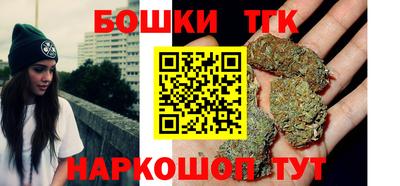 гашик Кингисепп