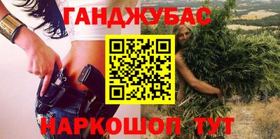 гашик Кингисепп