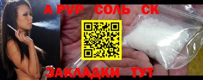 гашик Кингисепп