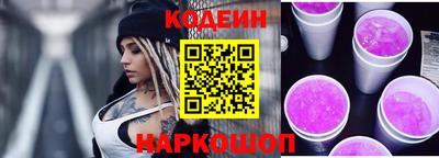 гашик Кингисепп