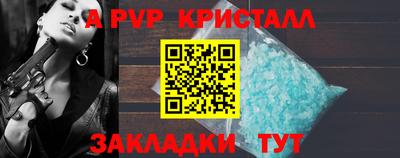 гашик Кингисепп