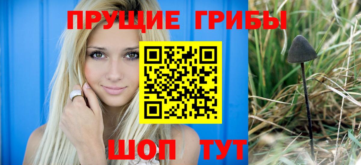 Галлюциногенные грибы Cubensis Туапсе