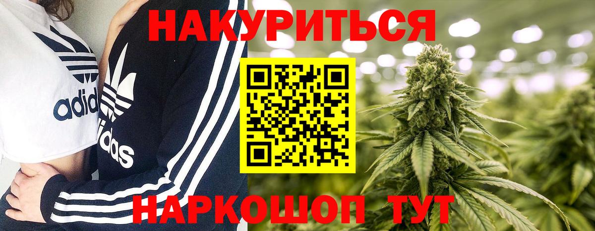 Бошки Шишки планчик Туапсе